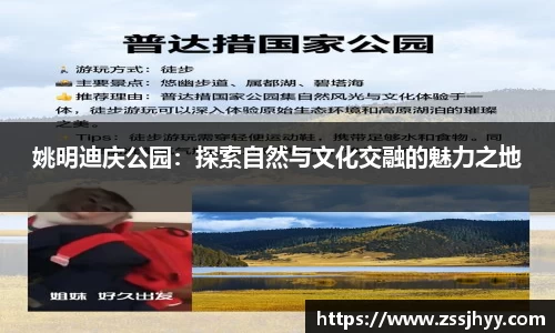 姚明迪庆公园：探索自然与文化交融的魅力之地