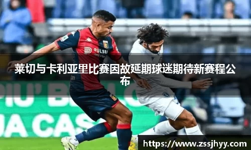 zoty中欧