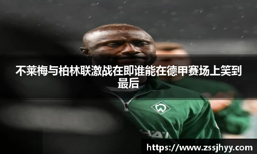 zoty中欧